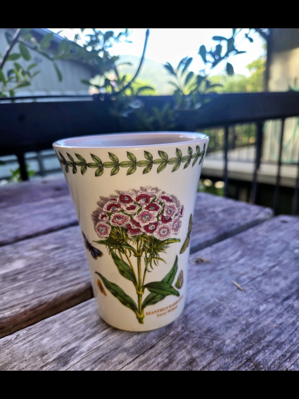Portmeirion The Botanic Garden 12 Ounce Tumbler Cup